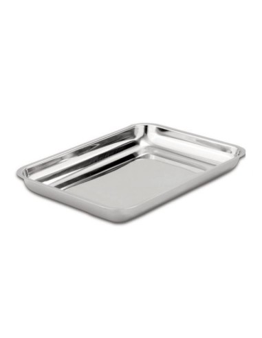 RECIPIENTE PARA INSTRUMENTOS 32.5 X 17 X3.5