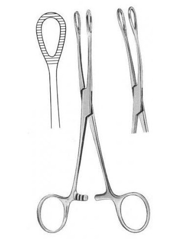 FOERSTER Braçadeira de suporte de esponja 24 CM